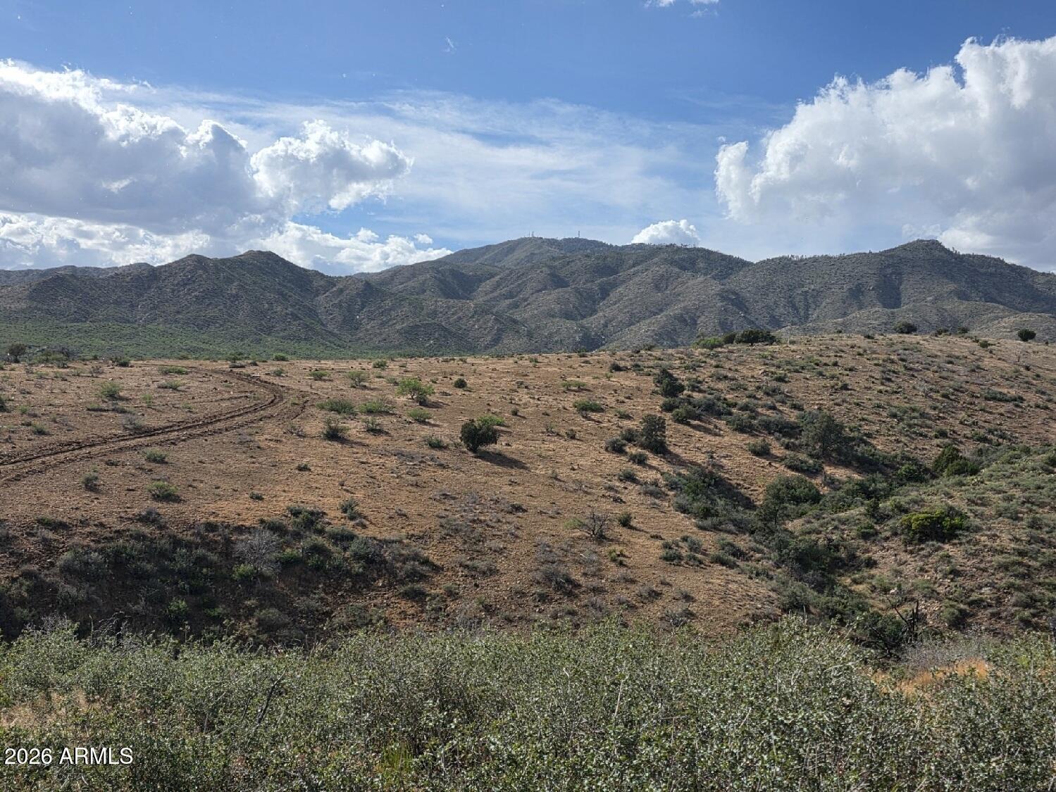 10XX E Horseshoe Springs Road 2