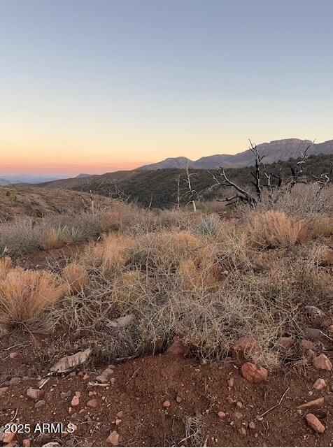 10XX E Horseshoe Springs Road 2