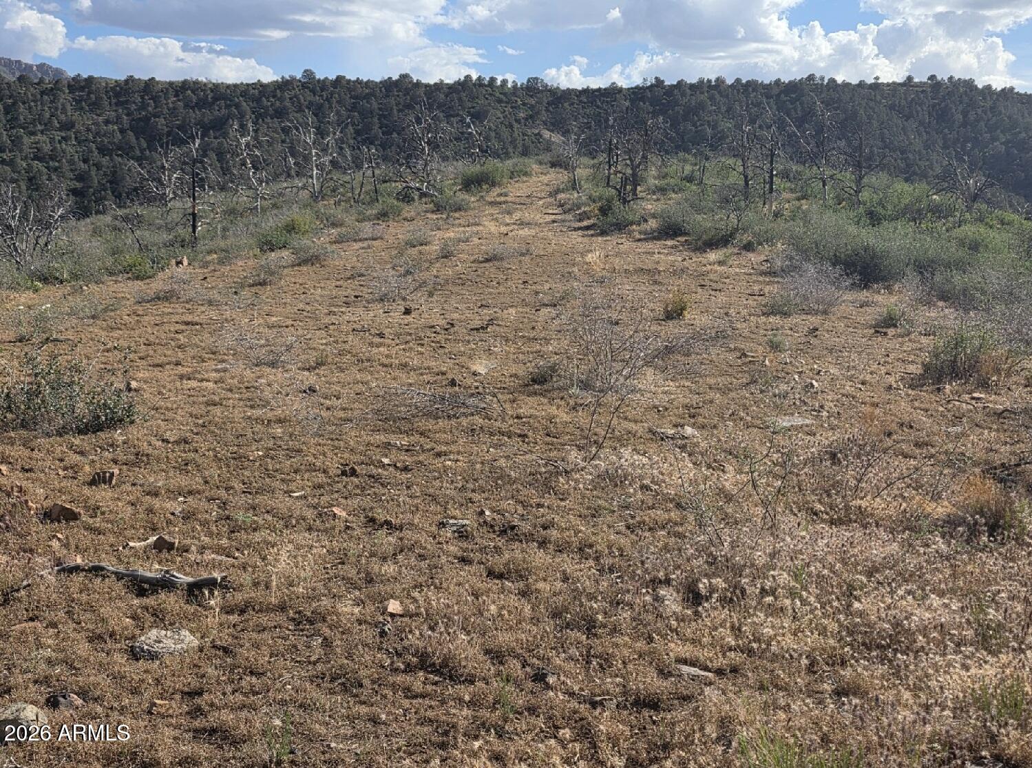 10XX E Horseshoe Springs Road 2