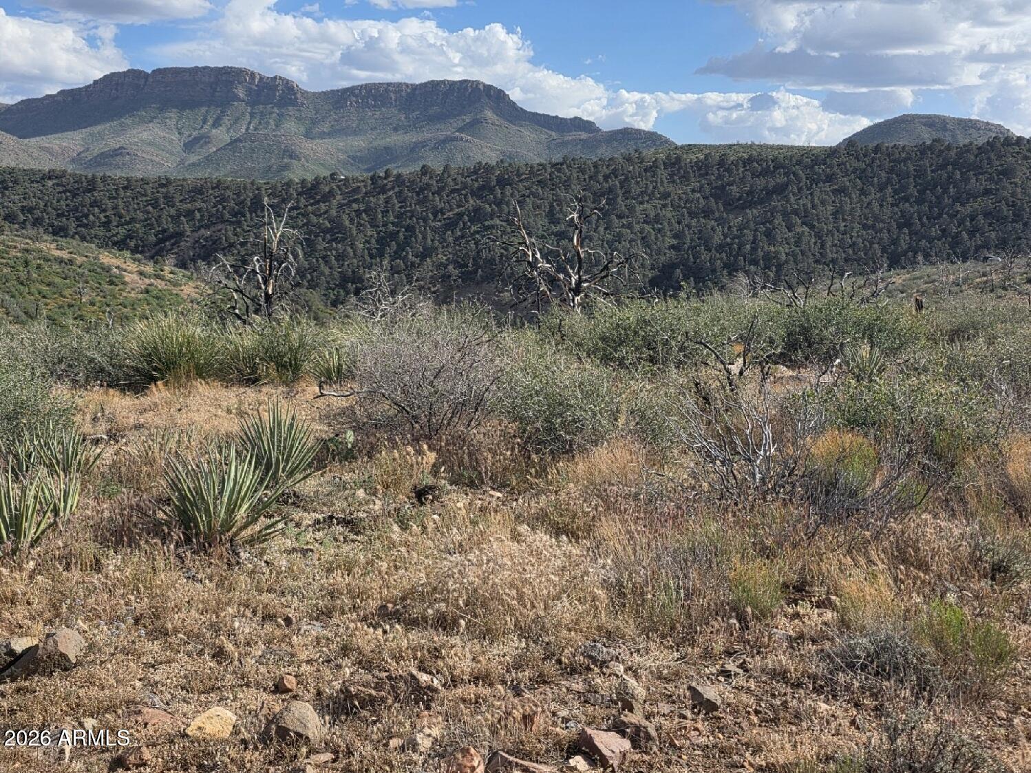 10XX E Horseshoe Springs Road 2