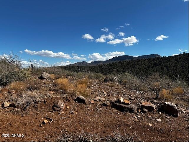 10XX E Horseshoe Springs Road 2