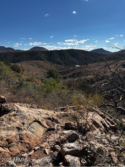 10XX E Horseshoe Springs Road 2