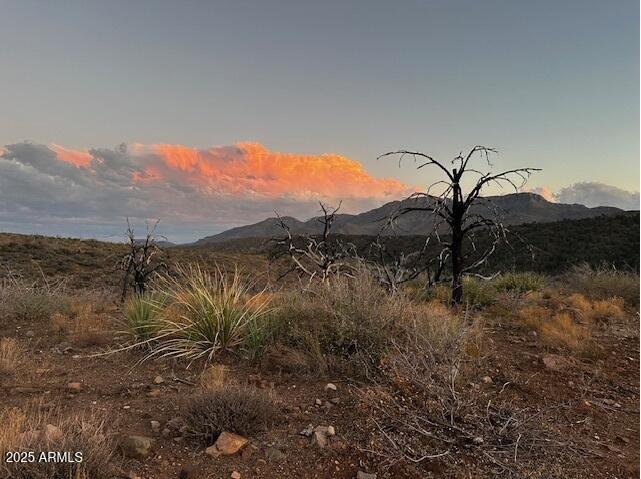 10XX E Horseshoe Springs Road 2