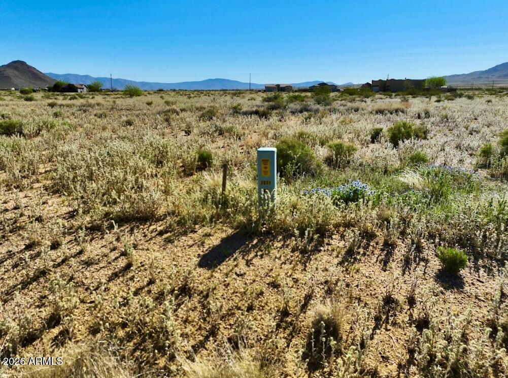 10418 N WOOD CAMP Drive 3776