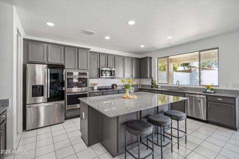 22341 N 100TH Lane Peoria AZ 85383