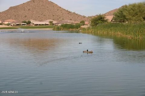 A home in San Tan Valley