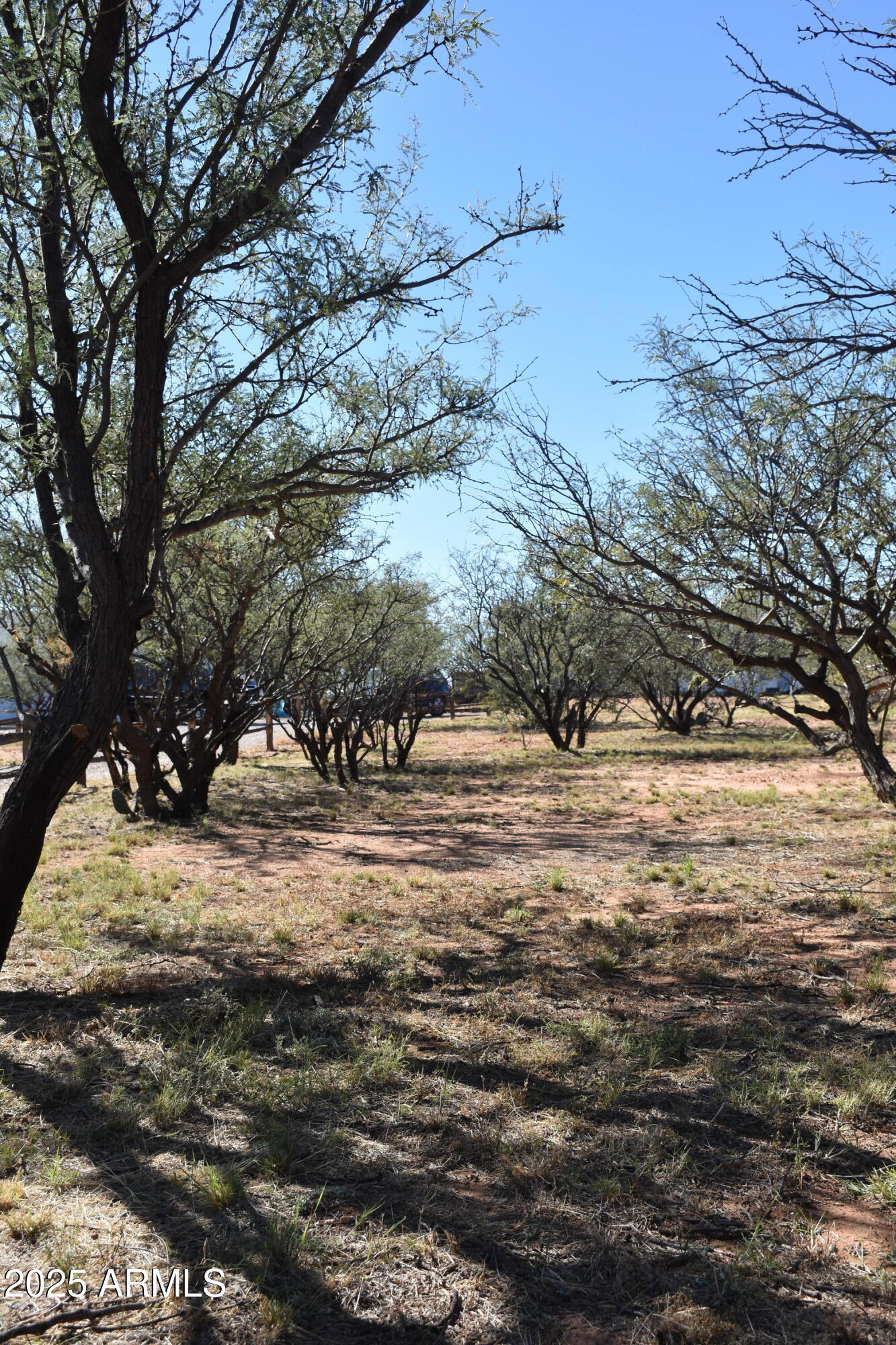 Palminas Ranches - Residential