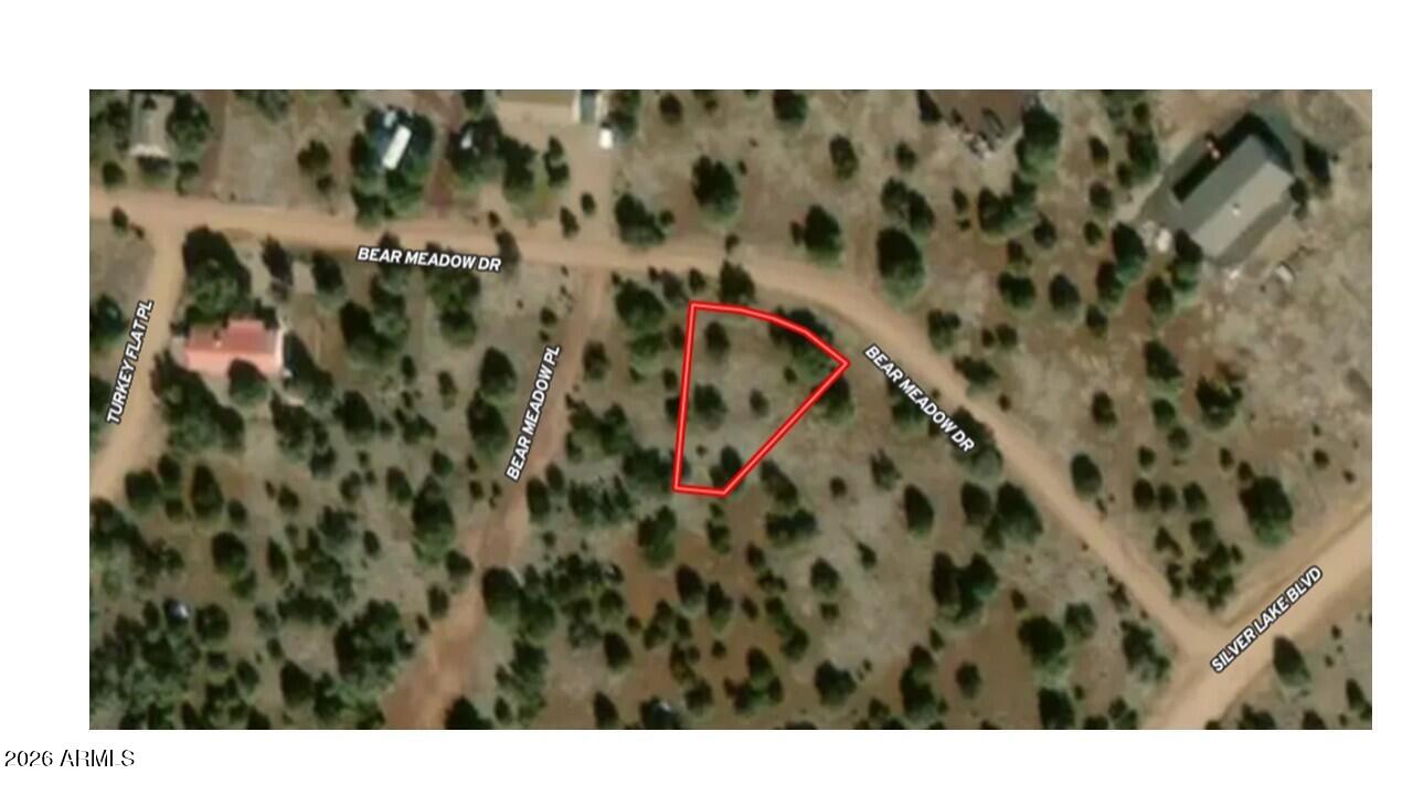 WHITE MOUNTAIN LAKE ESTATES - Land