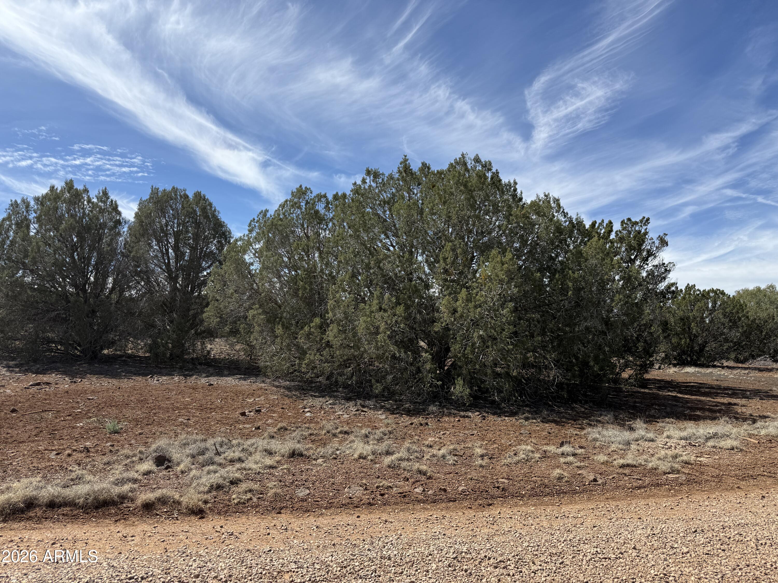 WHITE MOUNTAIN LAKE ESTATES - Land