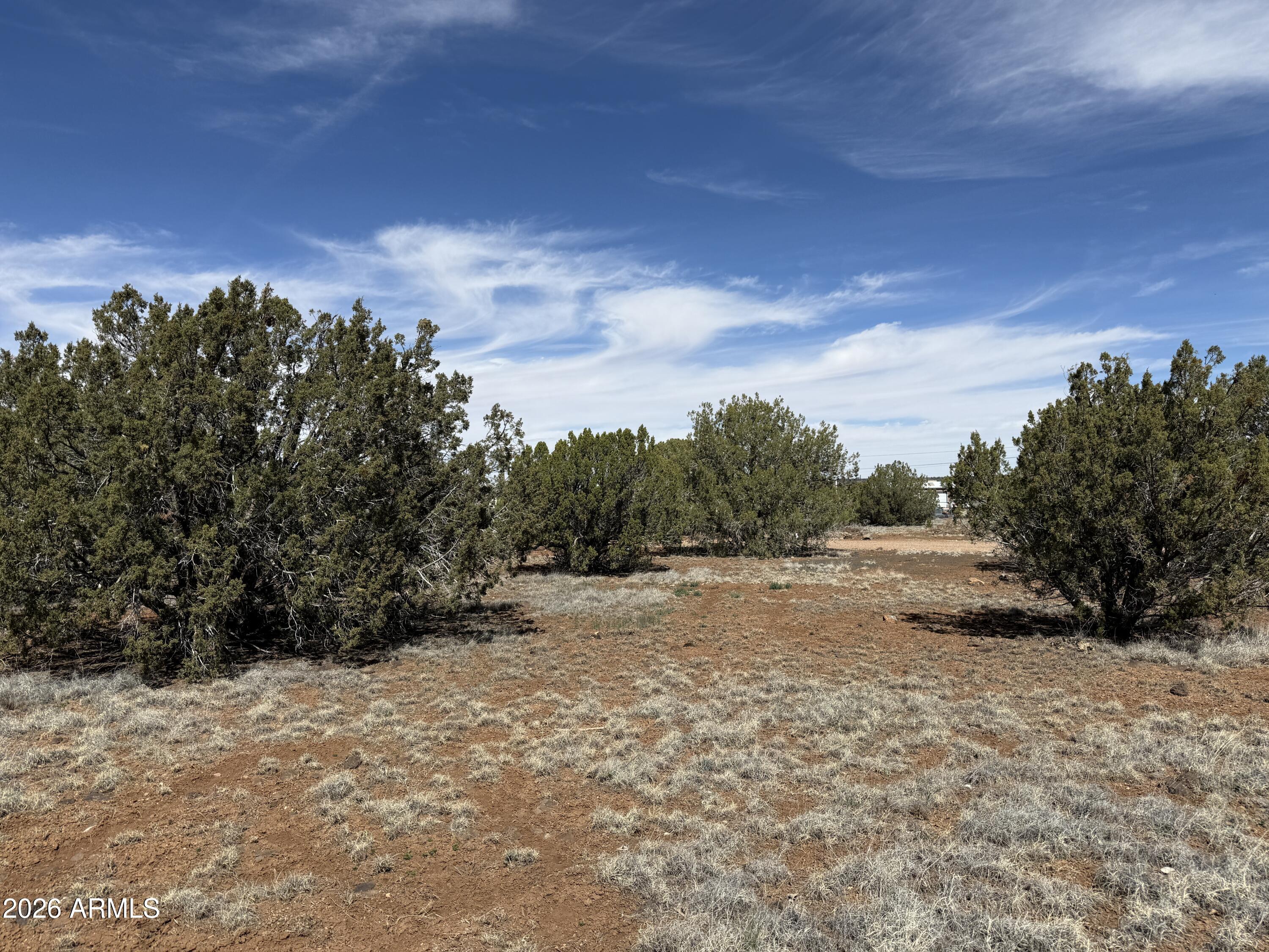 WHITE MOUNTAIN LAKE ESTATES - Land