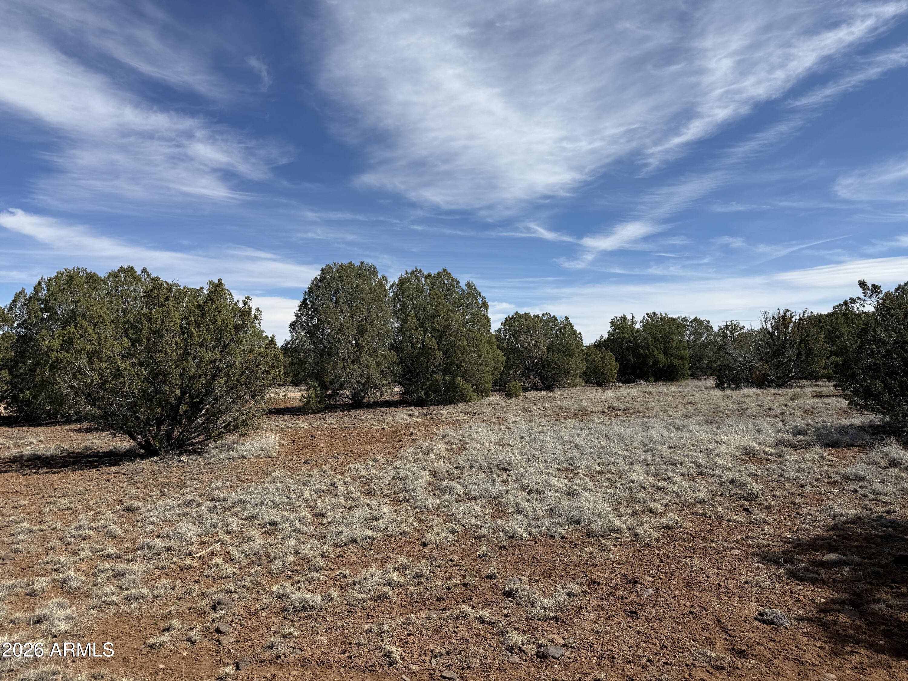 WHITE MOUNTAIN LAKE ESTATES - Land