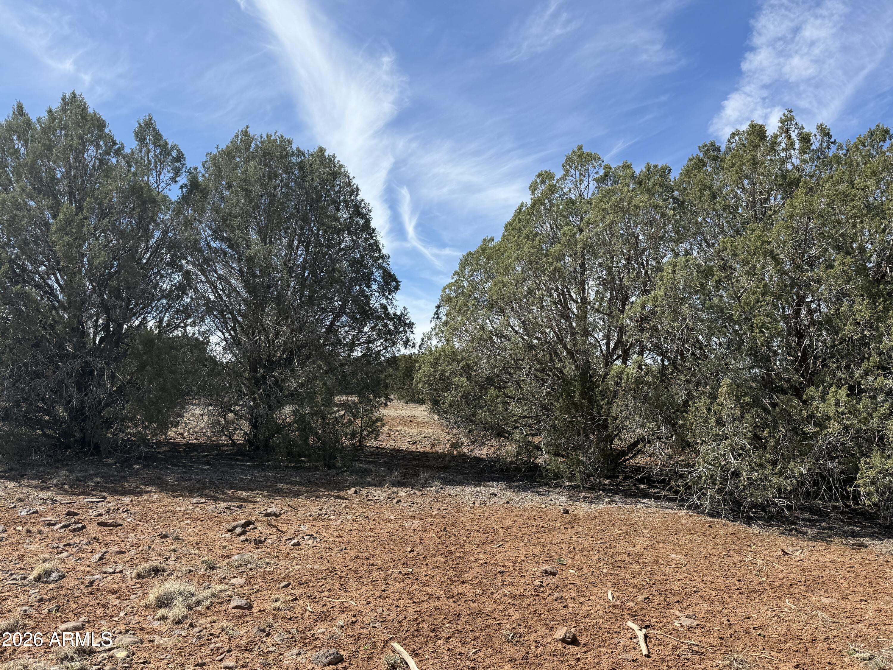 WHITE MOUNTAIN LAKE ESTATES - Land