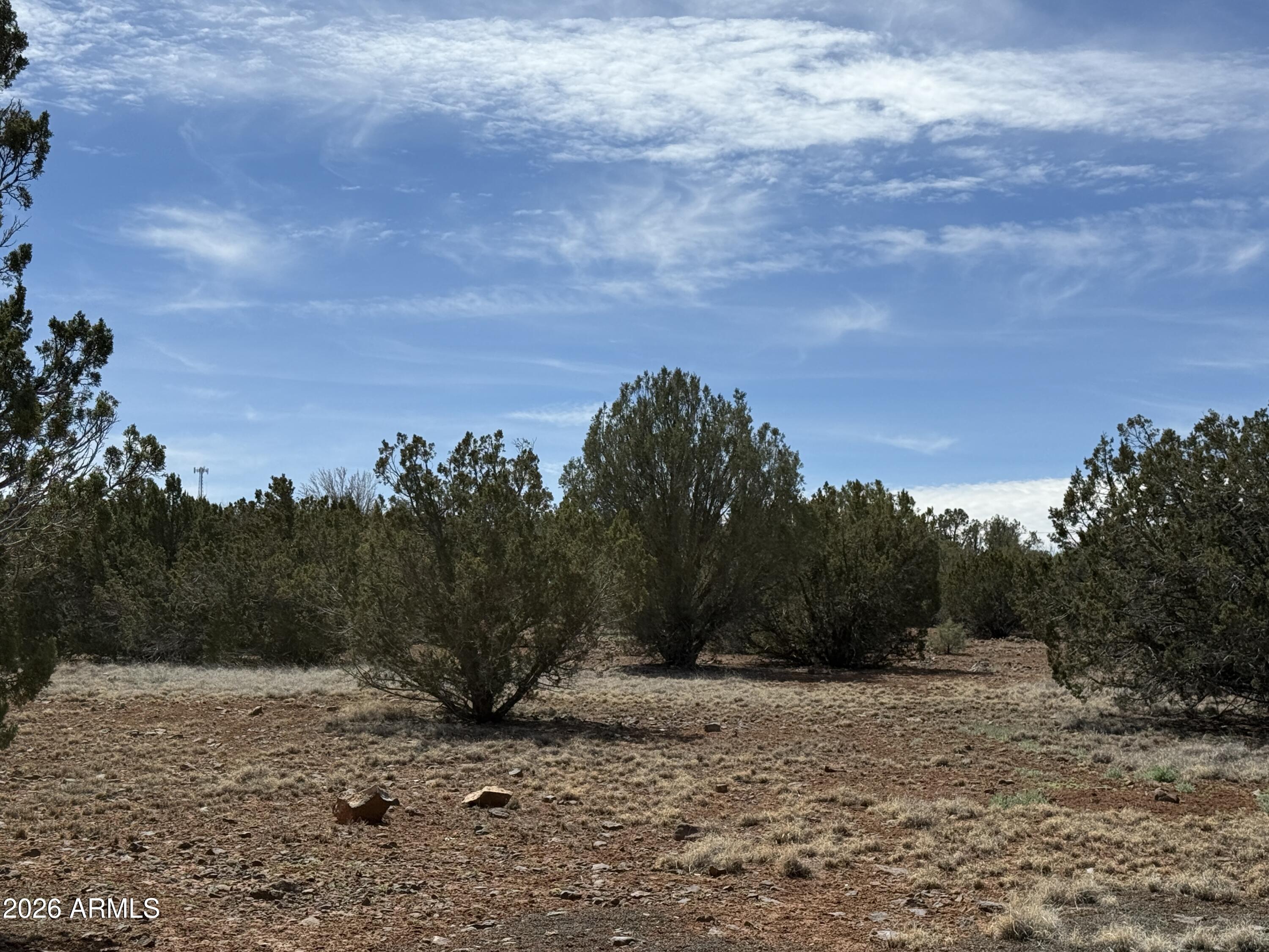 WHITE MOUNTAIN LAKE ESTATES - Land