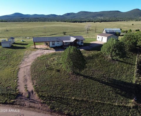 269 S Zachariae Ranch Road Young AZ 85554