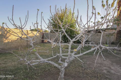 A home in Phoenix