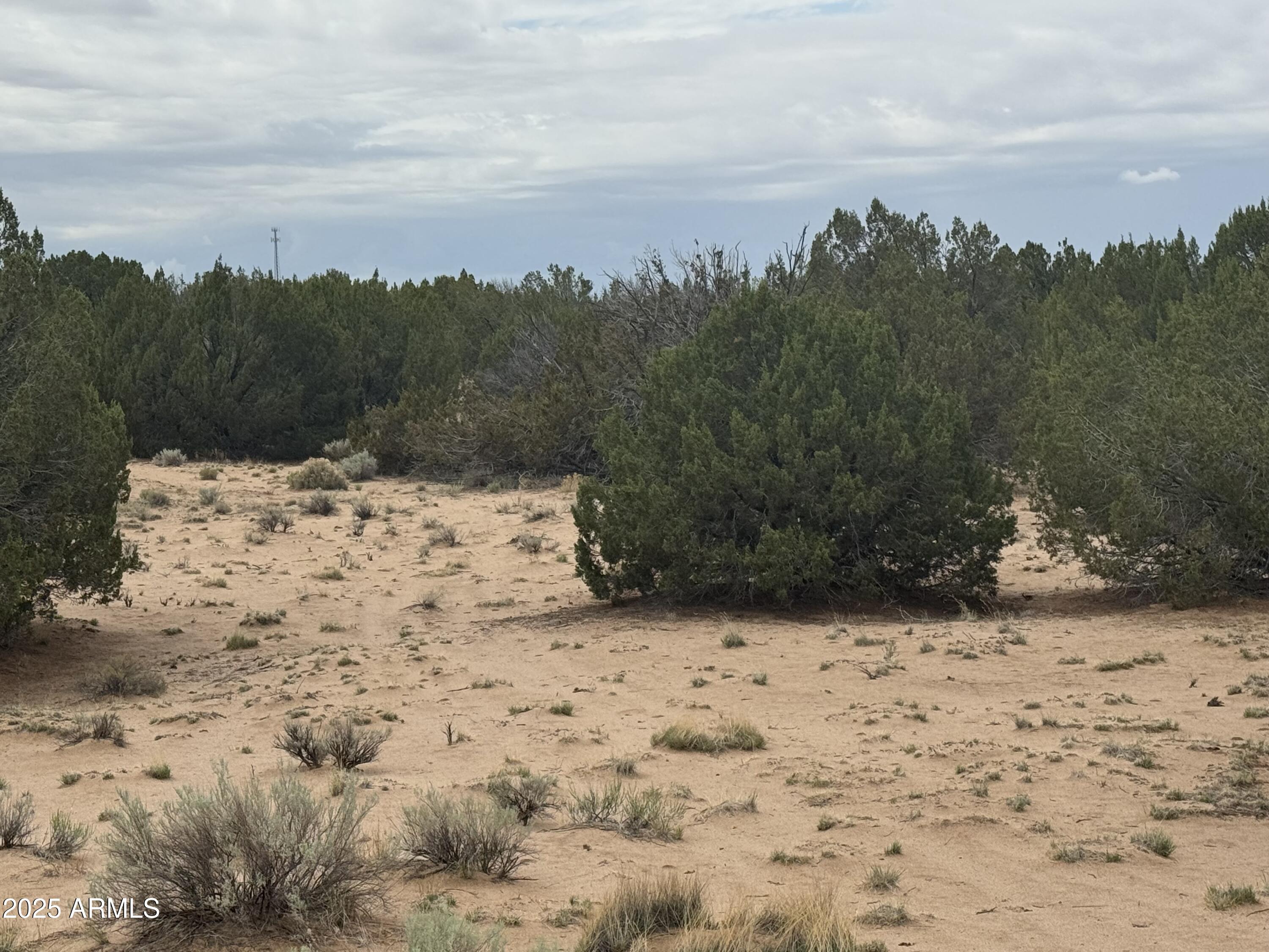 Lot 78 Witch Well Ranches -- 78