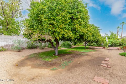 A home in Scottsdale