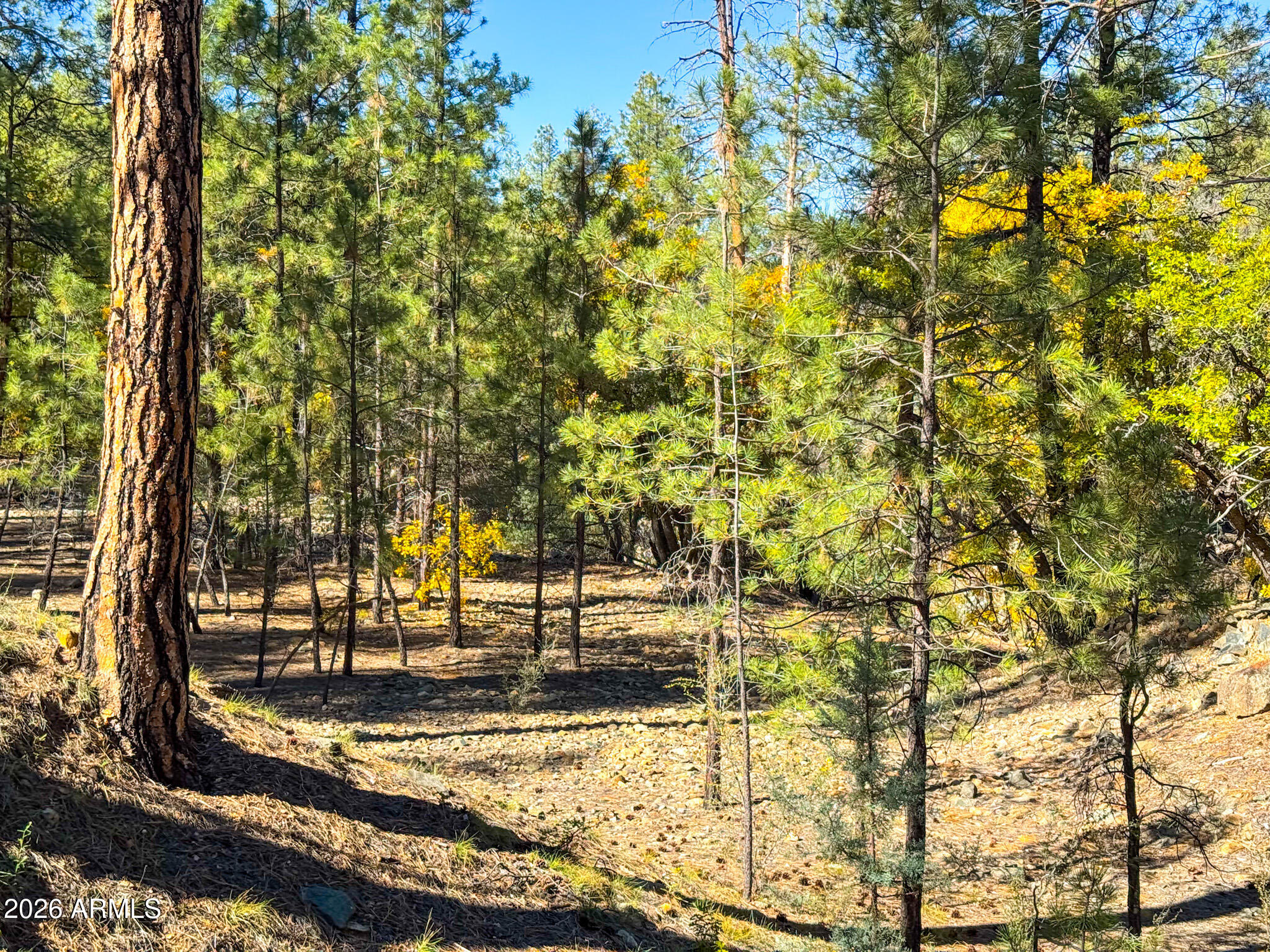 0 Forest Service Road -- -