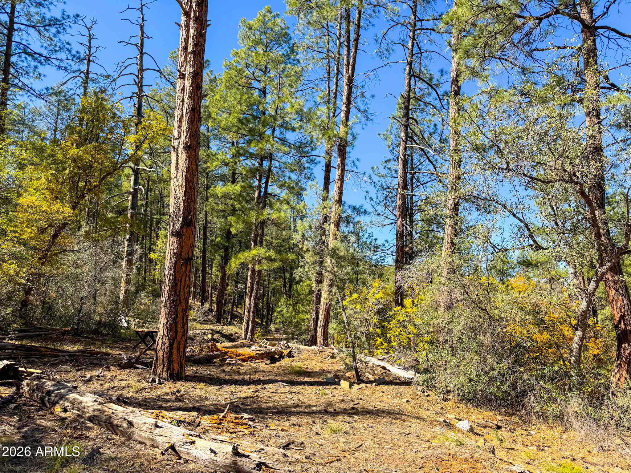 0 Forest Service Road -- -
