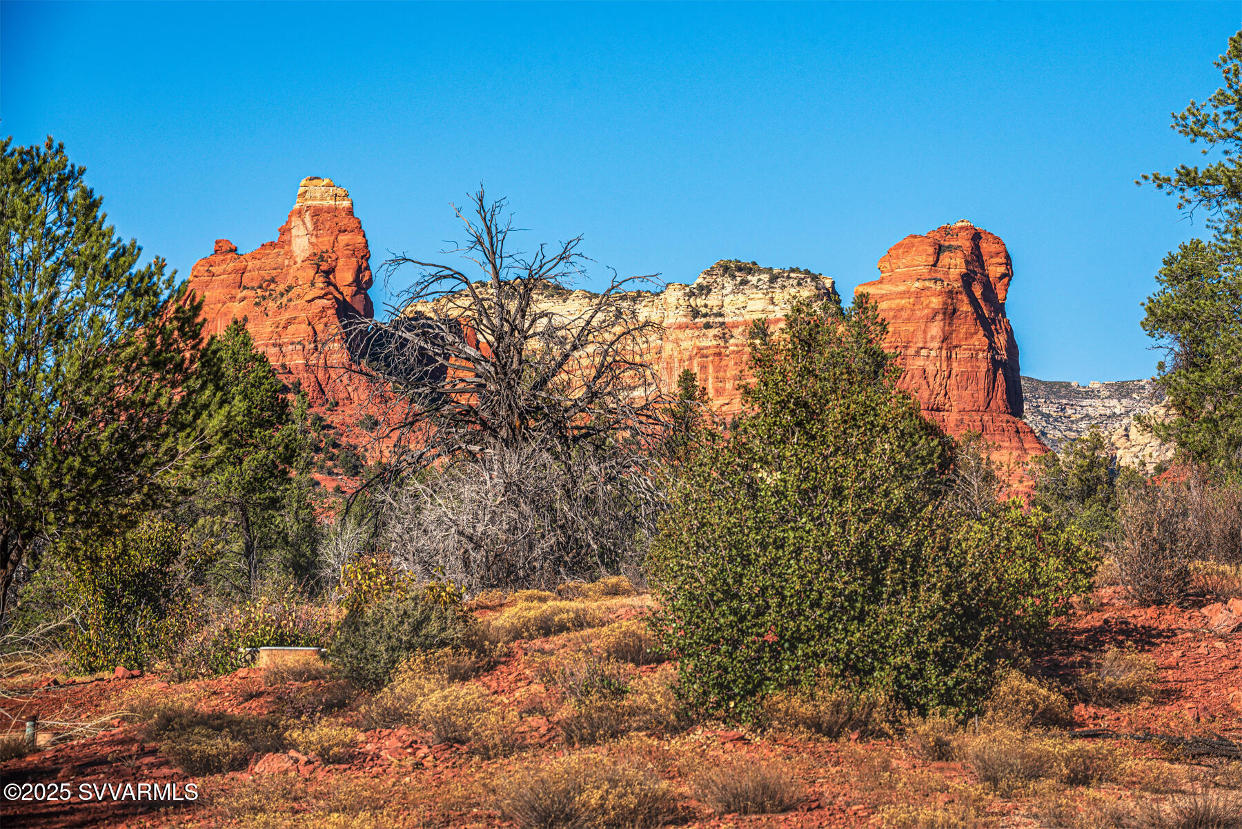 251 MOONLIGHT Drive -