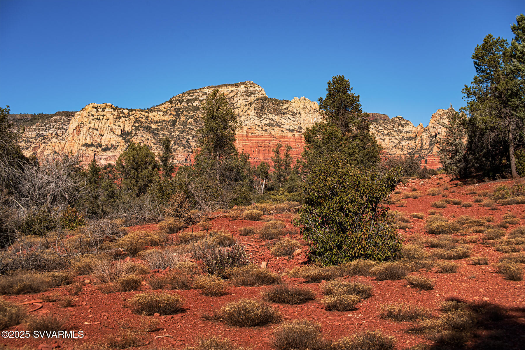 251 MOONLIGHT Drive -