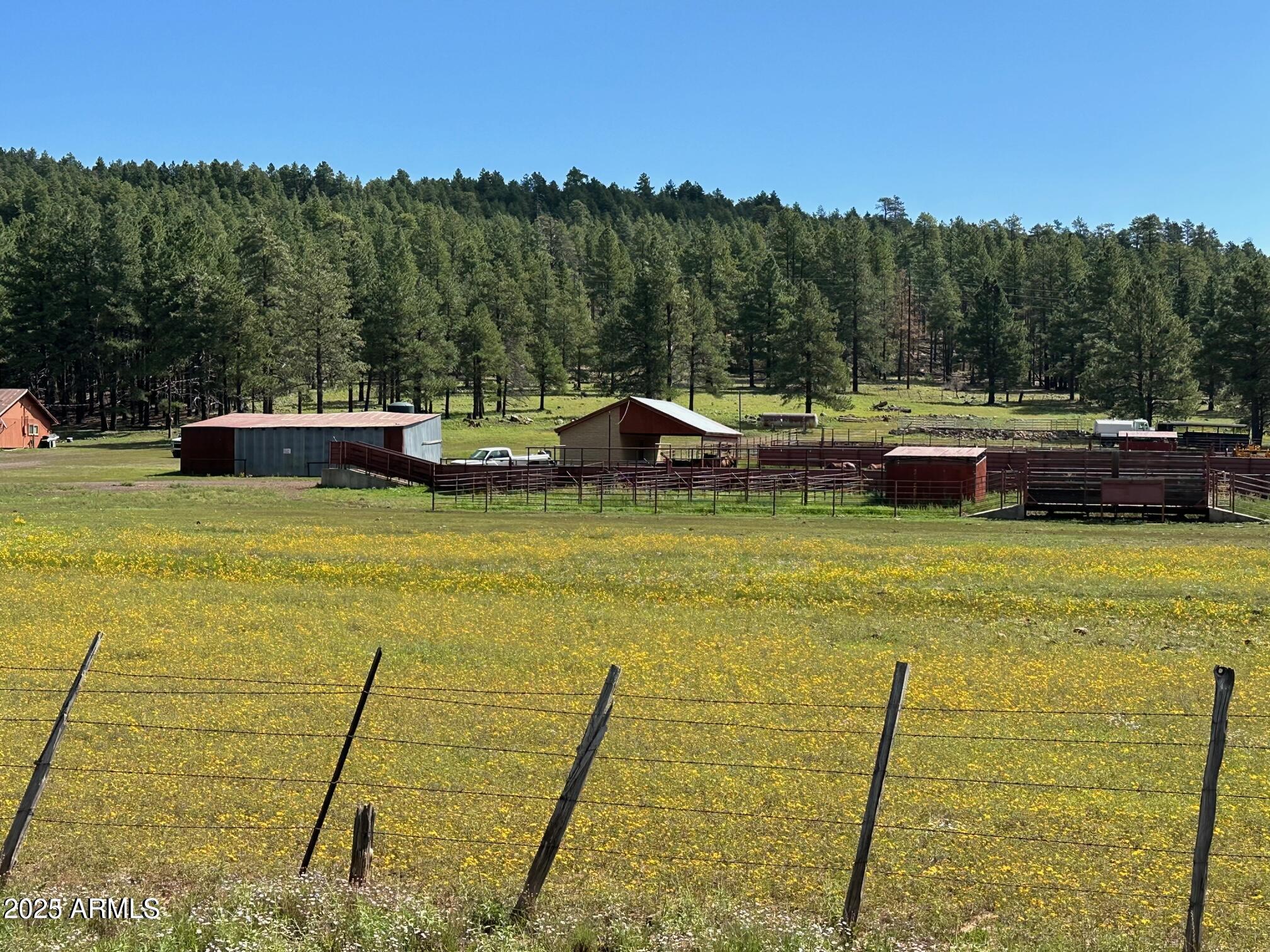 17xx4 E Forest Service 772 Lane -