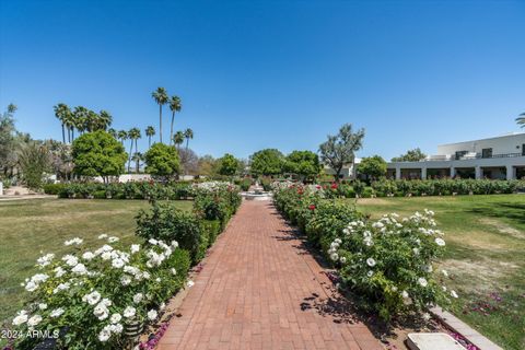 A home in Paradise Valley