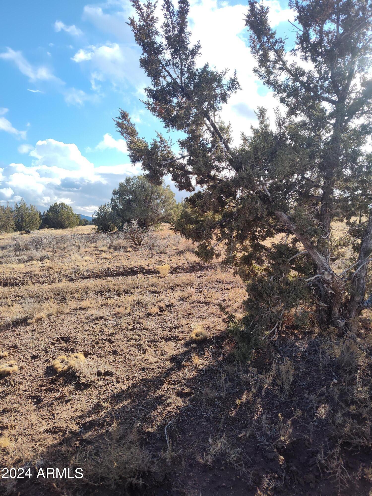 JUNIPERWOOD RANCH - Land