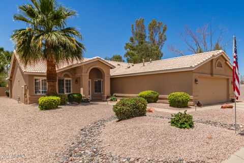 23602 S DESERT DANCE Court Sun Lakes AZ 85248