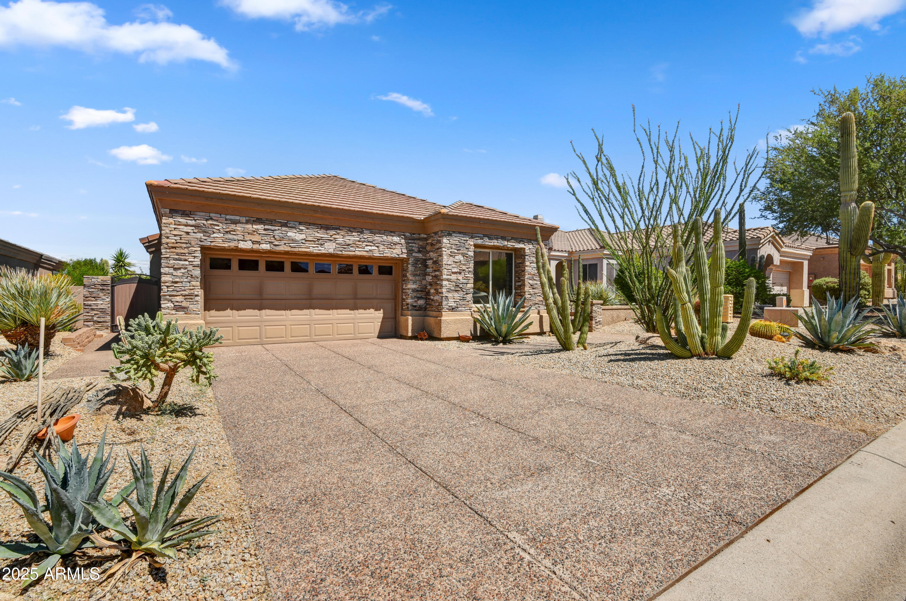 11582 E CHRISTMAS CHOLLA Drive
