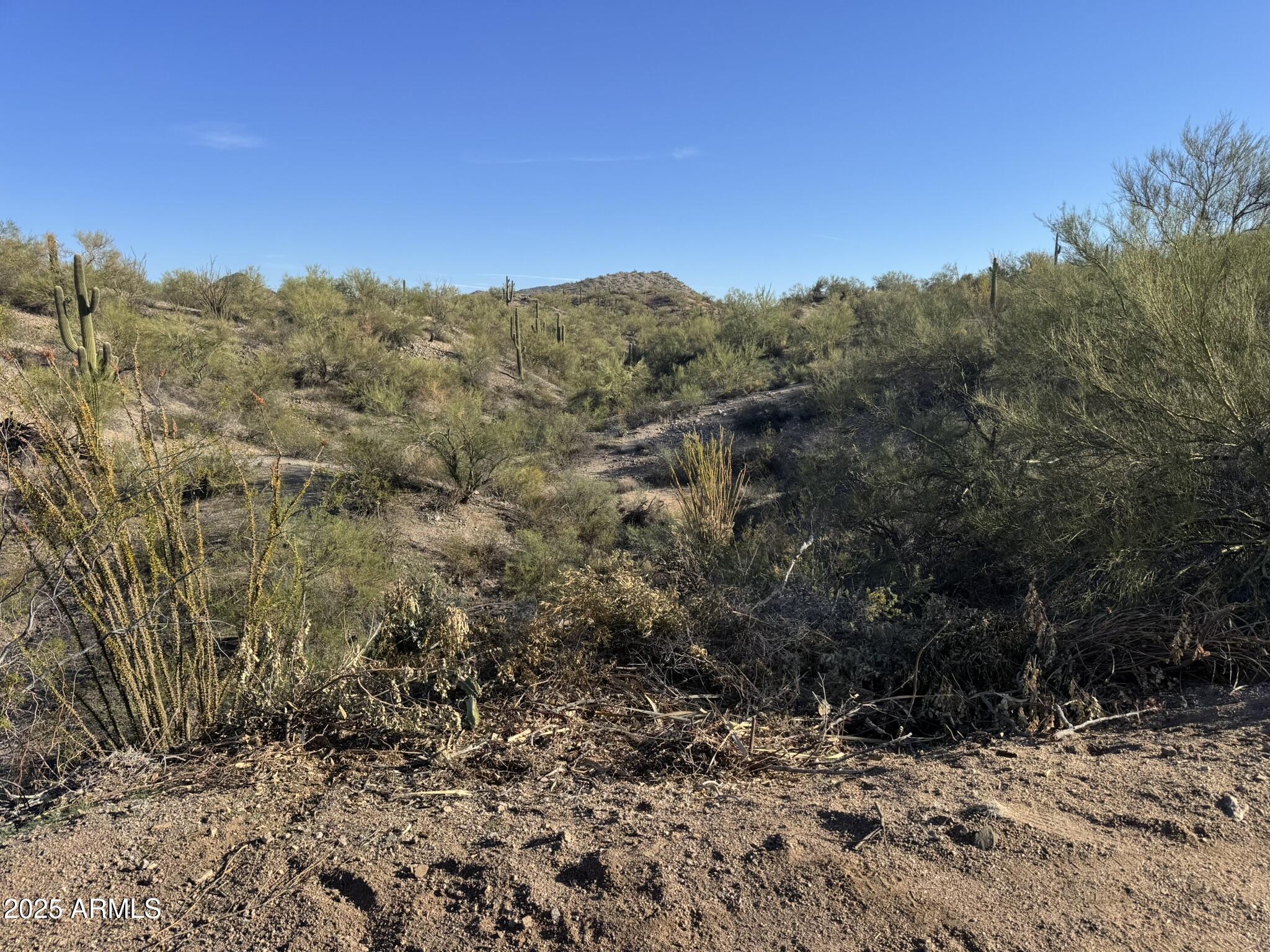 XX00H S Blue Tank Trail -