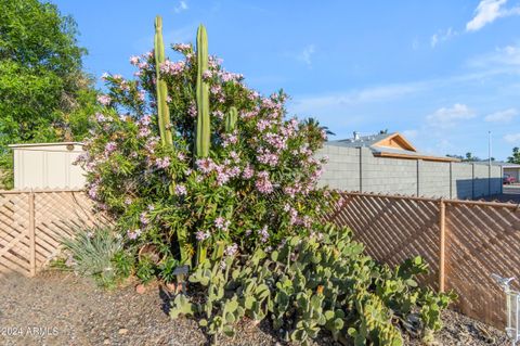 A home in Mesa