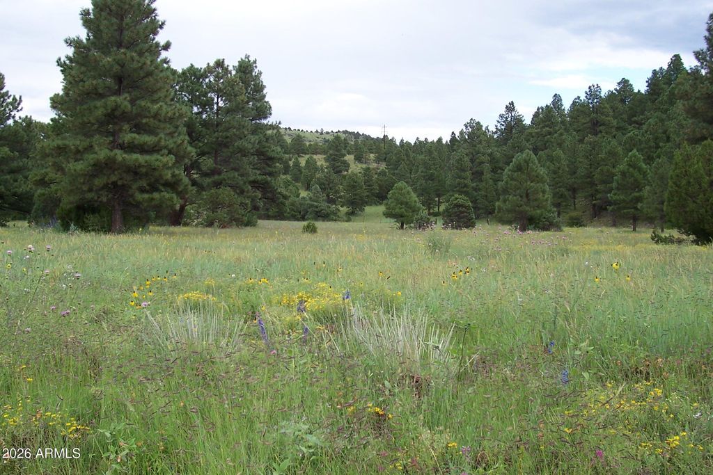 Photo of 5 Red Cabin Ranch Unit Ii, Vernon, AZ 85940 (MLS # 7002837)