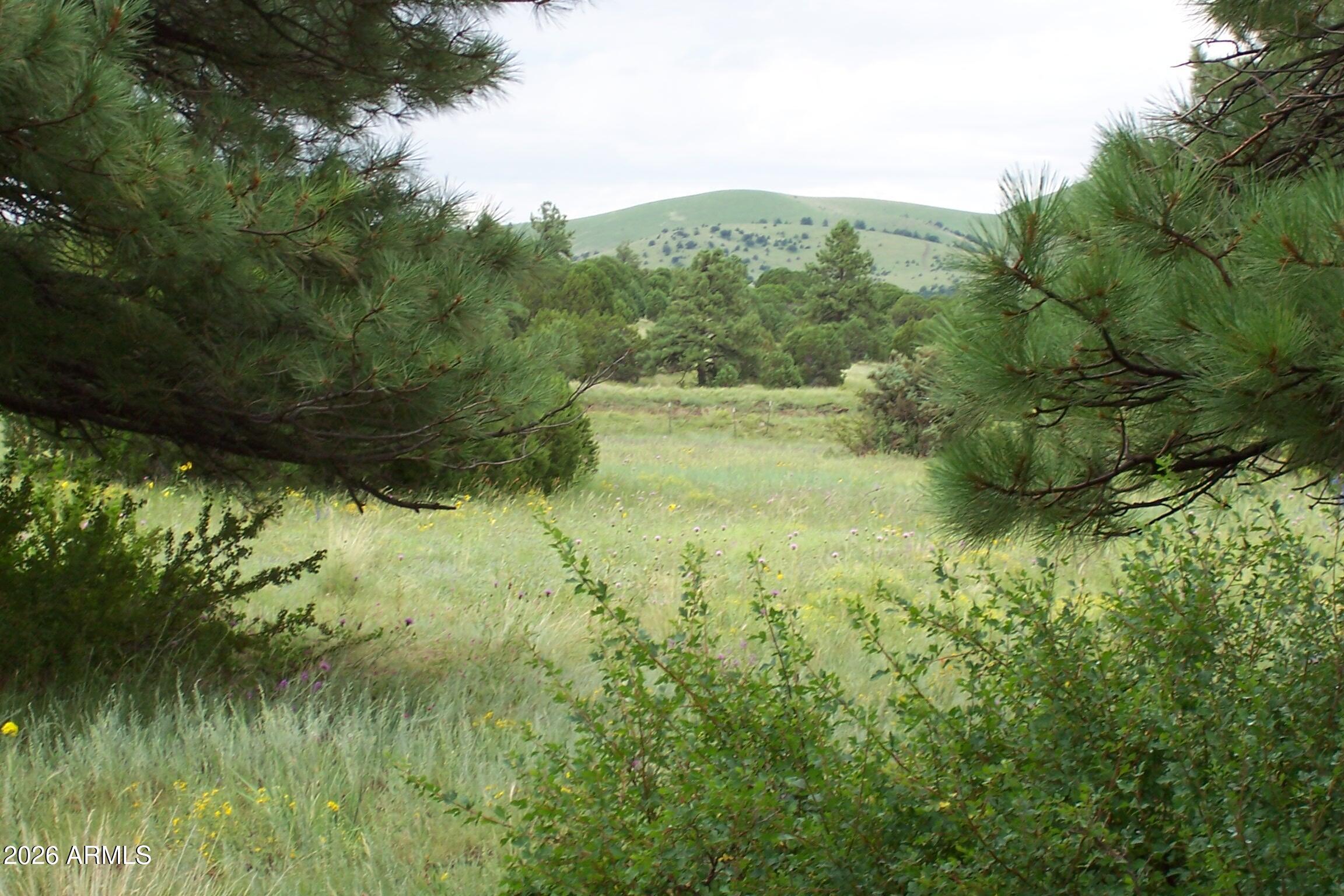 Homes for Sale in Queen Creek Arizona 3 Lot 5 Red Cabin Ranch Unit II -- 5