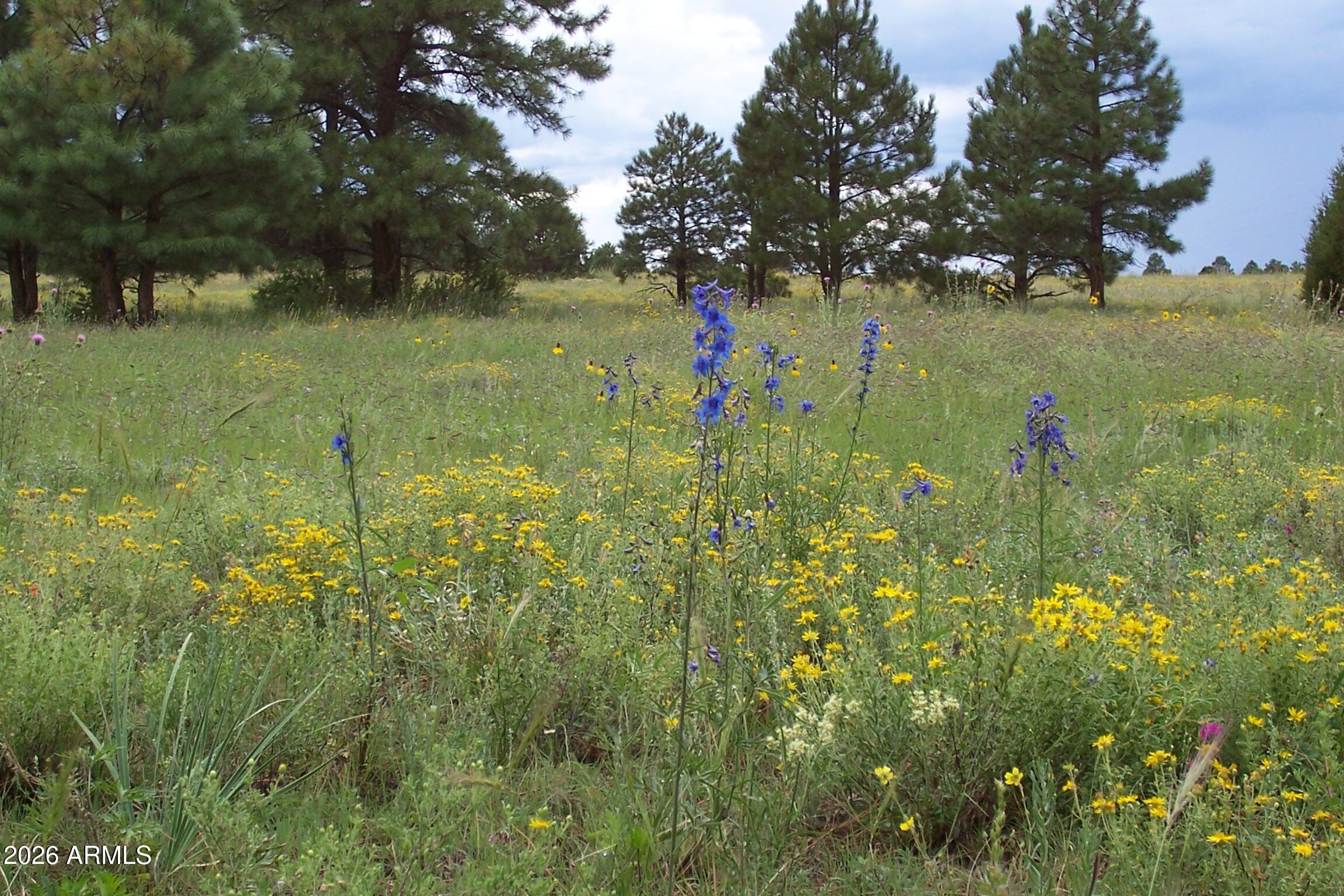 Homes for Sale in Queen Creek Arizona 4 Lot 5 Red Cabin Ranch Unit II -- 5