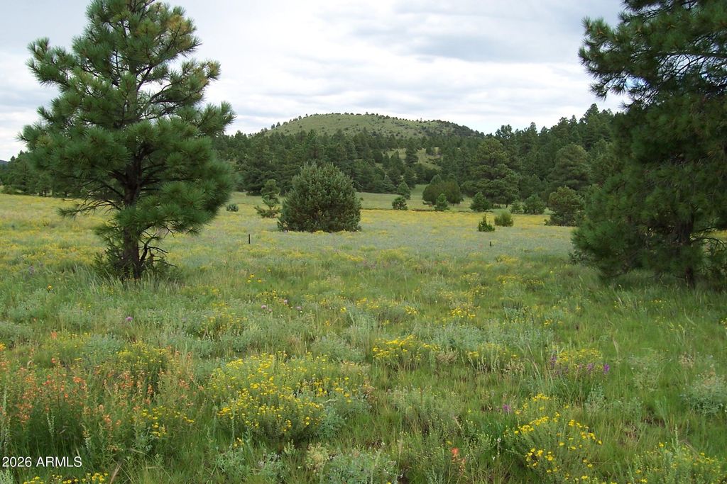 Photo of 5 Red Cabin Ranch Unit Ii, Vernon, AZ 85940 (MLS # 7002837)
