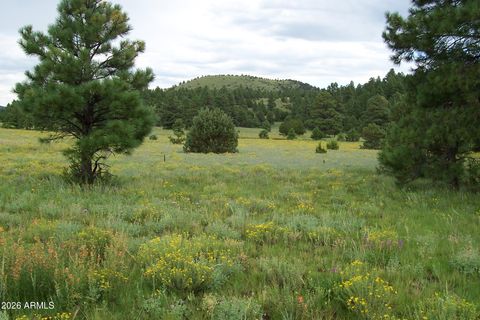 Lot 5 Red Cabin Ranch Unit II -- 5 Vernon AZ 85940