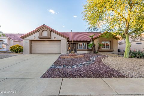 15316 W SKY HAWK Drive Sun City West AZ 85375