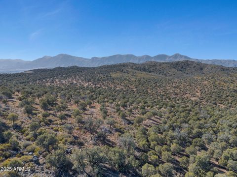 A home in Payson