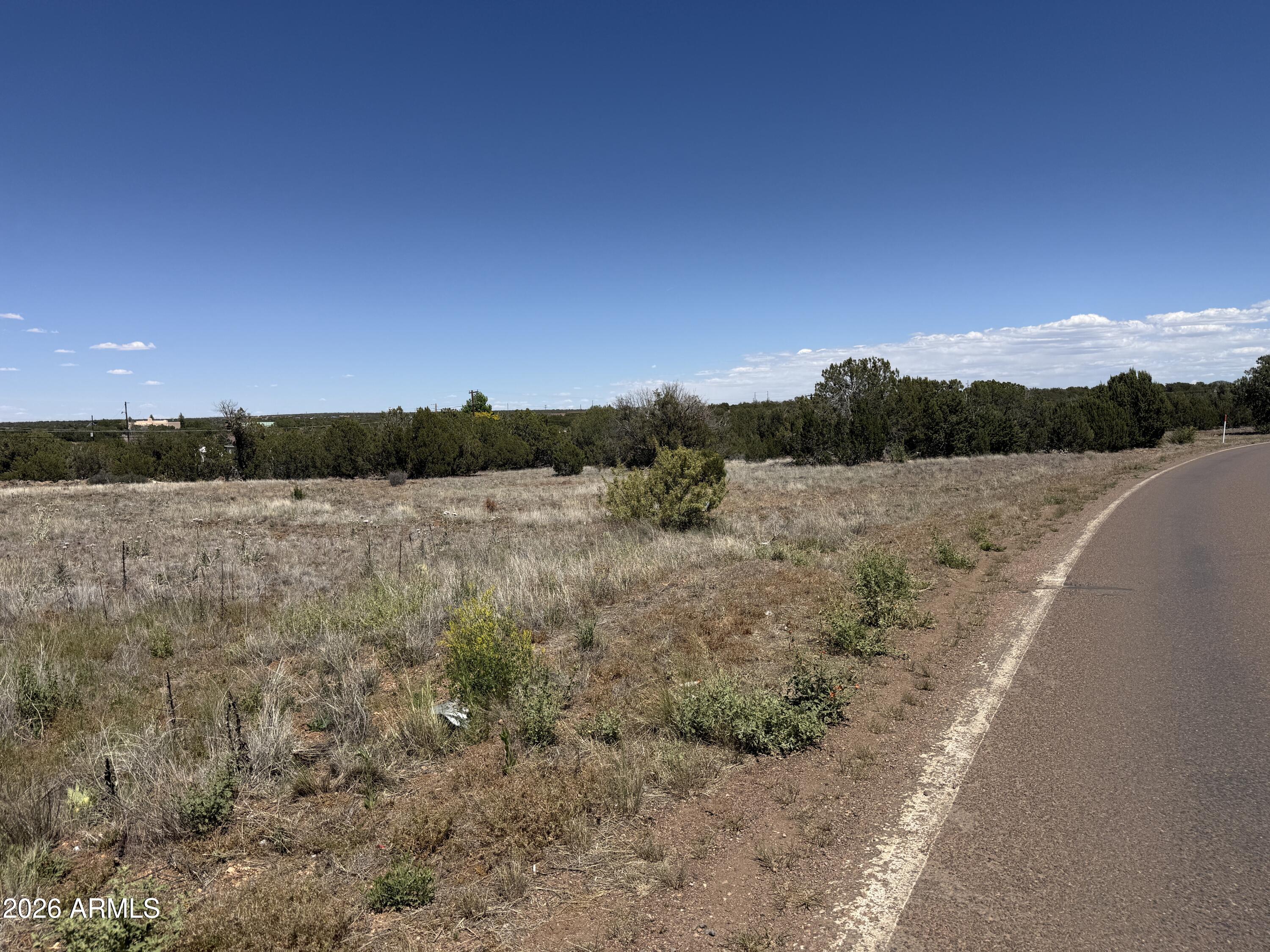 WHITE MOUNTAIN LAKE ESTATES - Land