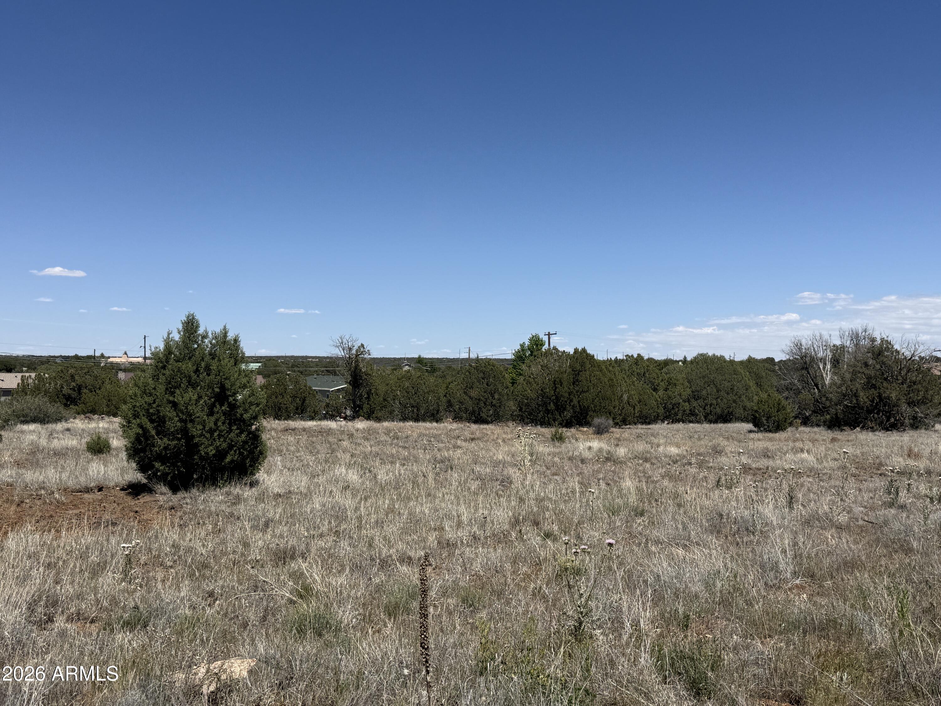 WHITE MOUNTAIN LAKE ESTATES - Land