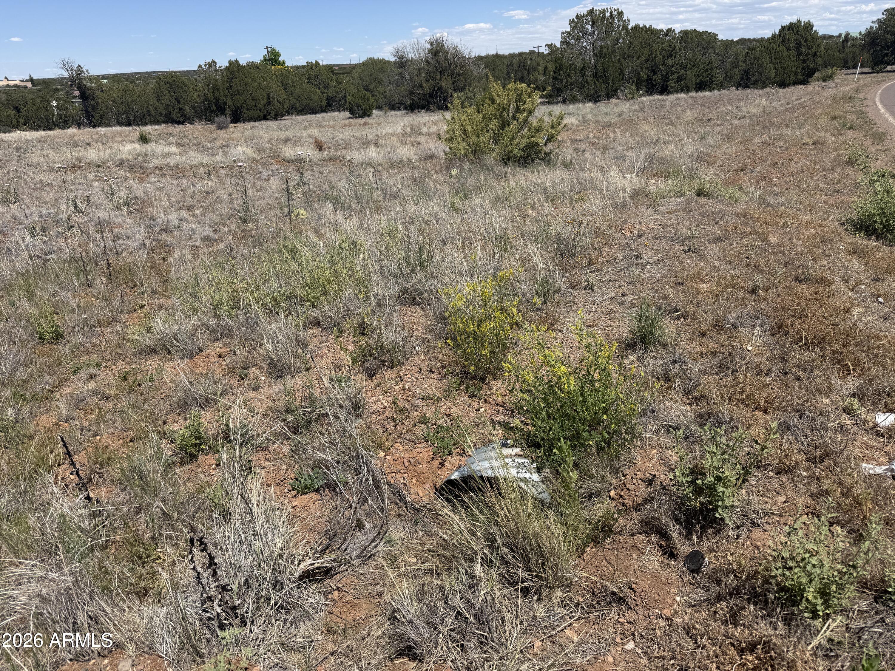 WHITE MOUNTAIN LAKE ESTATES - Land