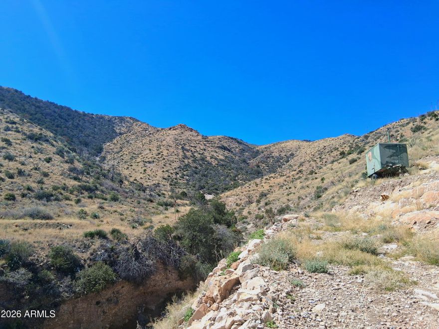 Here's your chance to own over 40-acres in the Cochise Stronghold that is completely enveloped on all sides by National Forest. Mineral rights and a patented mine claim convey with the sale. There is also a US Army trailer converted into a hunting cabin. Arizona hunting zone 32b. RU-4 zoning allows for the most versatile use: dig a well, run cattle, raise horses, build a house, or just use as your seasonal recreational getaway. The land itself is a dynamic and vast landscape that incorporates deep gullies, mountain faces and ridges, rich geology, a seasonal spring, and various exploratory mineshafts. One of the highest elevation private parcels in the county. Over 50 miles of visibility from the driveway. Very rugged terrain throughout but access easily with a 4x4 vehicle. Seller may carry