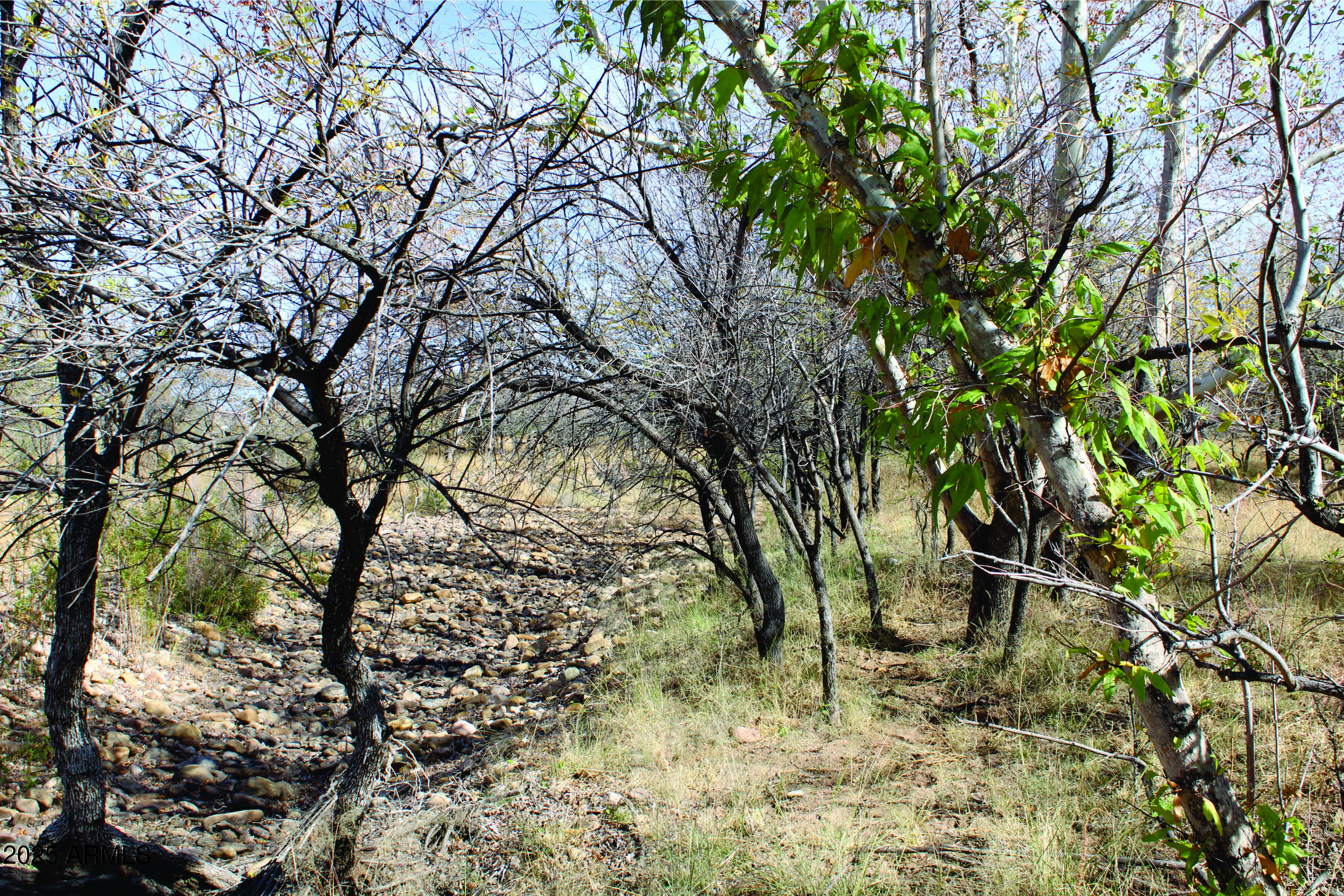 10 Acres E Roadrunner Lot D Lane D