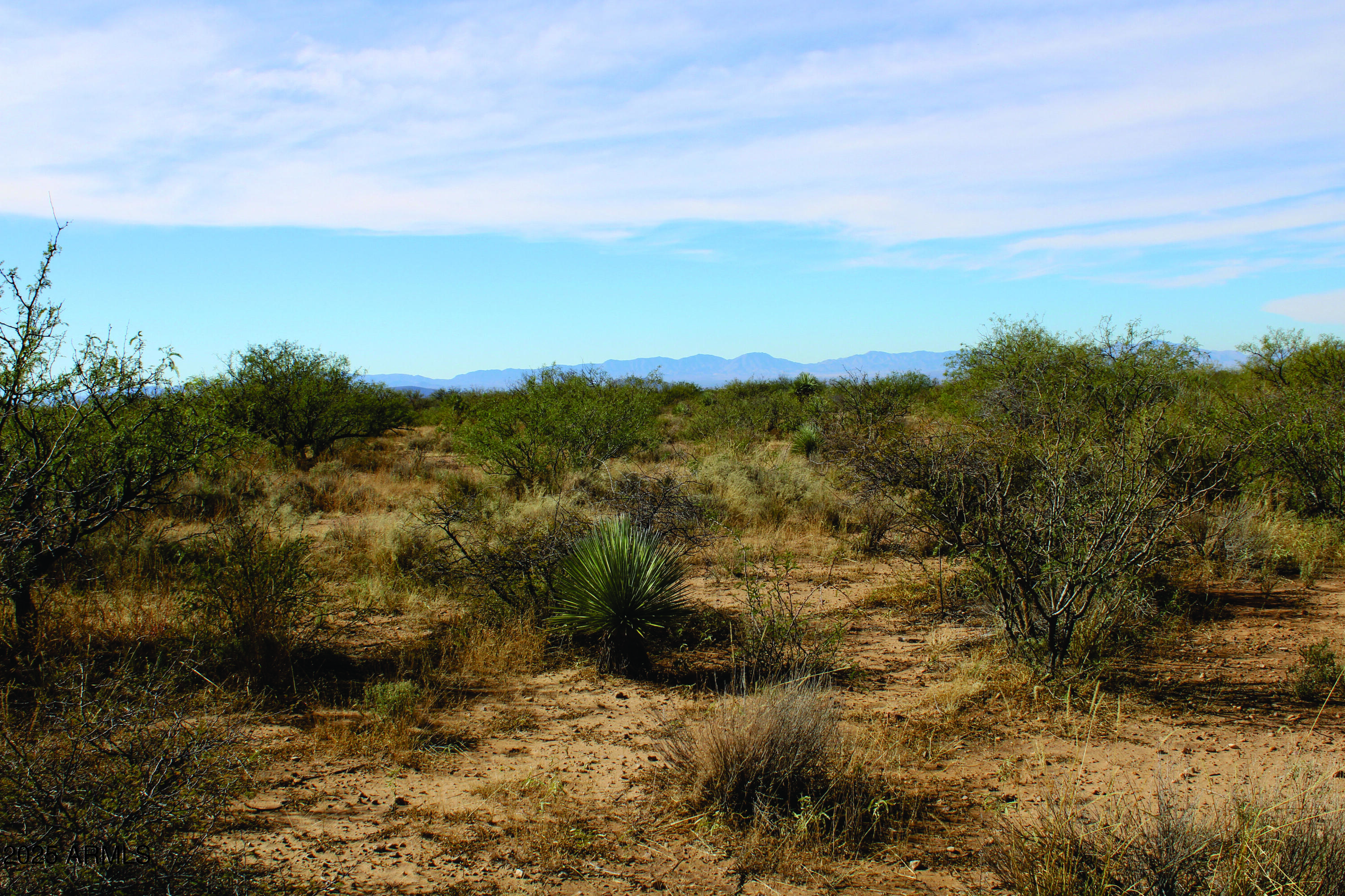 Turkey Creek Ranch - Land