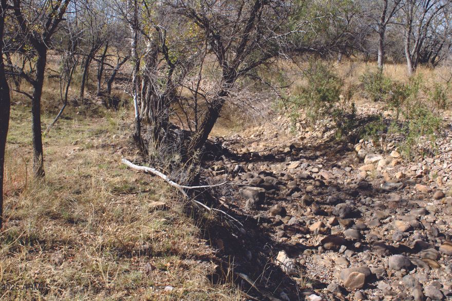 Here are 10 ACRES on beautiful Turkey Creek. These properties don't come along very often. This property which backs up to seasonal Turkey Creek is perfect to build your relaxing getaway. There are two 10 acre parcels available. You can have one or both. With incredible views of the Chiricahua Mountains. A short drive to hike the Chiricahua Monument, Fort Bowie, Historic Tombstone and Bisbee. A 3 mile drive to legendary Tombstone Villain Johnny Ringo's grave. Here is you chance to own land in the Old West. Seller will finance with $9900 Down plus closing costs and Pioneer Title Account setup fee, at 9.9 percent interest for 10 years, with a monthly payment of $526.39 plus Pioneer Title processing fee and impounded property tax. No Prepayment Penalty