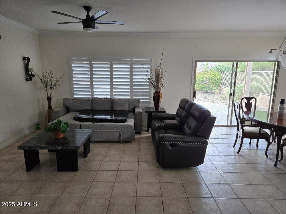 17460 N ESTRELLA VISTA Drive