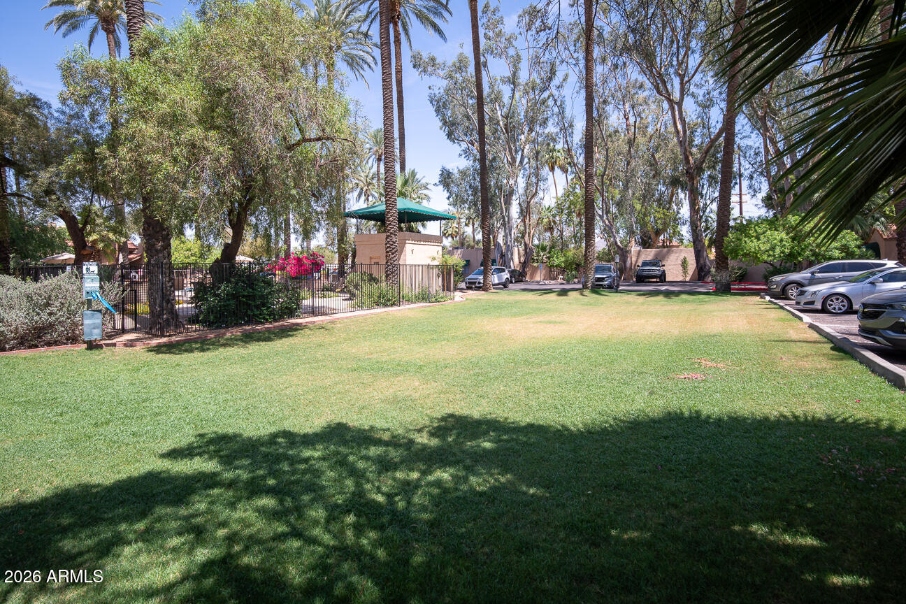Palma Viva Condominiums - Residential