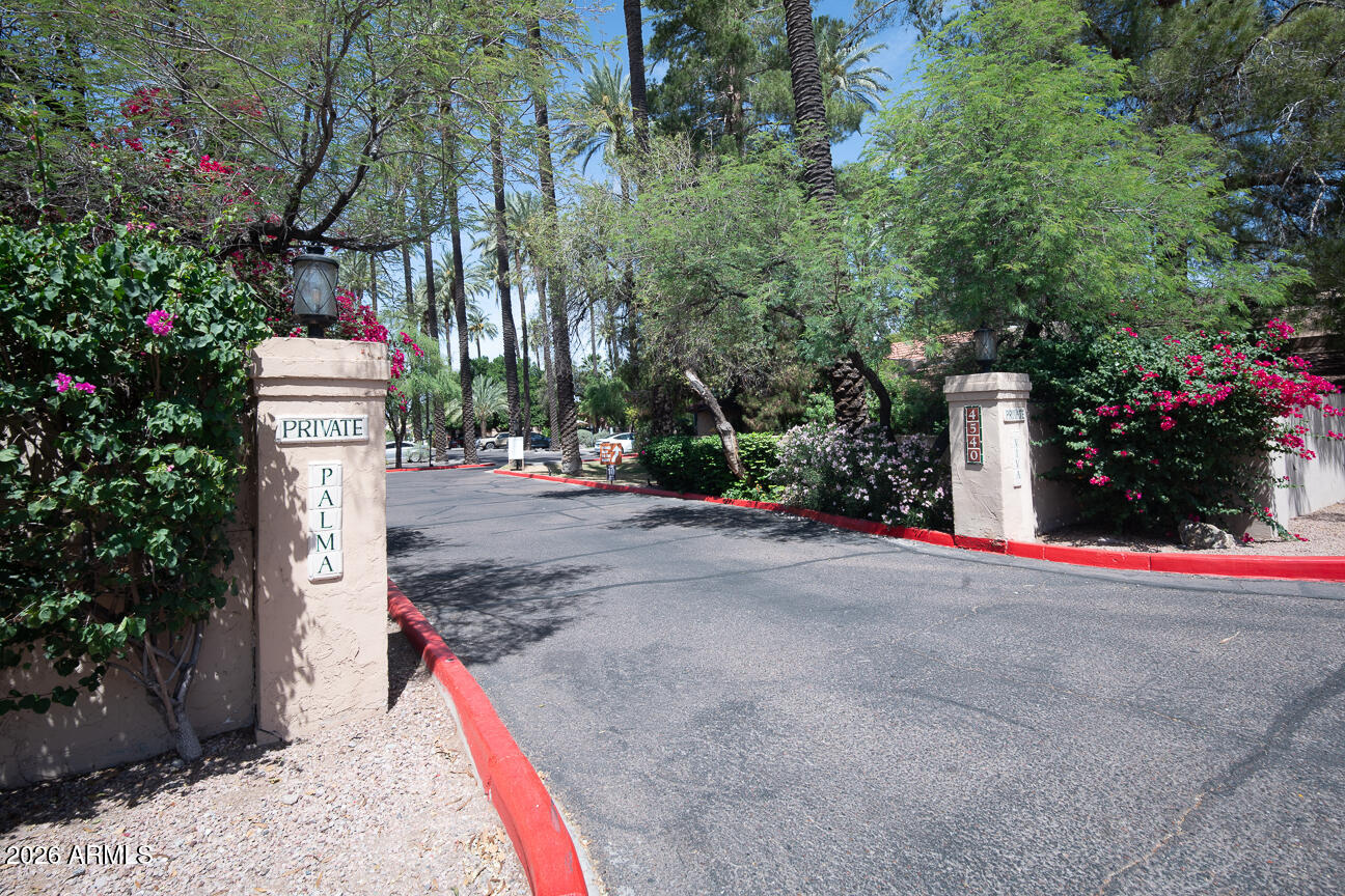 Palma Viva Condominiums - Residential