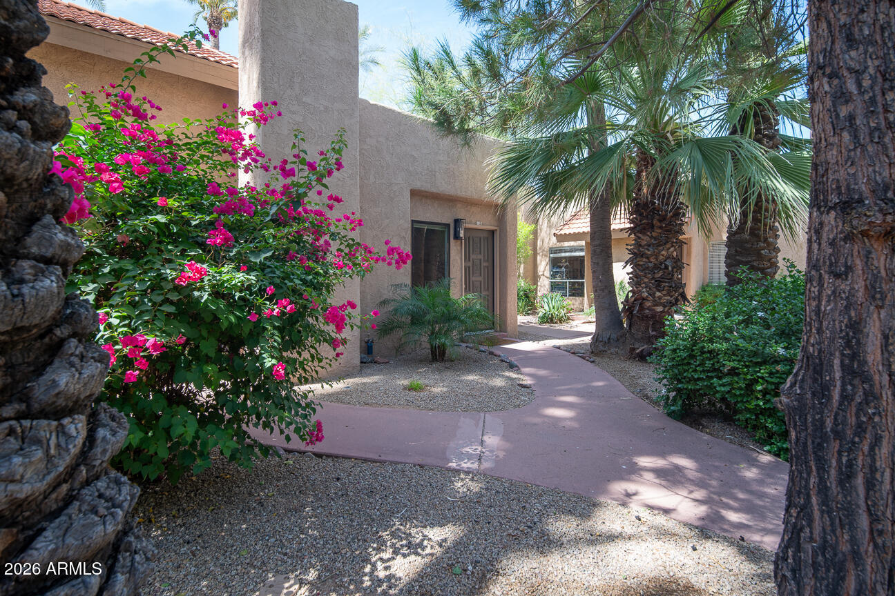 Palma Viva Condominiums - Residential